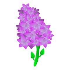 Poster - Lilac plant icon. Cartoon of lilac plant vector icon for web design isolated on white background