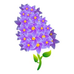 Poster - Blossom lilac icon. Cartoon of blossom lilac vector icon for web design isolated on white background