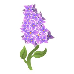 Poster - Season lilac icon. Cartoon of season lilac vector icon for web design isolated on white background