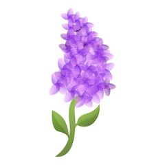 Poster - Decoration lilac icon. Cartoon of decoration lilac vector icon for web design isolated on white background