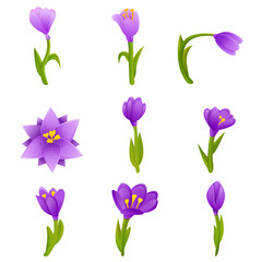Poster - Crocus icons set. Cartoon set of crocus vector icons for web design