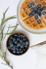 Wall Mural - Belgian Waffle with Blueberries and Maple Syrup, Dusted with Powdered Sugar, Flay Lay on White Background, Copy Space