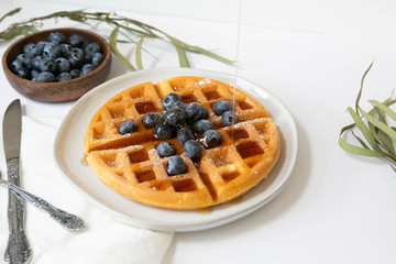 Wall Mural - Maple Syrup pouring on Belgian waffle with blueberries, Dusted with Powdered Sugar, White Background, Copy Space