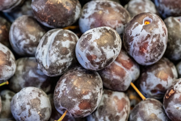 Wall Mural - Counter with black plums in the store, plums in the supermarket.