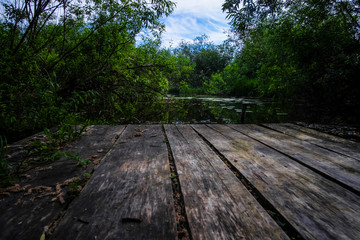 Sticker - image of a pond in the forest