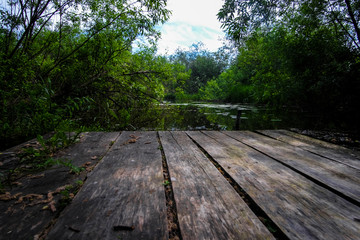 Sticker - image of a pond in the forest