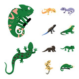 Fototapeta Dinusie - Vector design of animal and reptile symbol. Collection of animal and nature stock symbol for web.