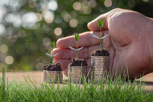 Fotomural Caring for small green trees in hand