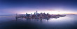 Aerial wide view of San Francisco City from the Bay. California, USA