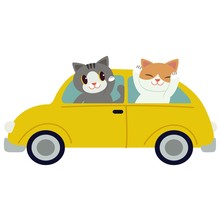 The Character Cute Cat Driving A Yellow Car. The Cat Driving A Yellow Car On The White Background. Cat Smiling And  They Look Have Happyness. Cute Cat In Flat Vector Style.