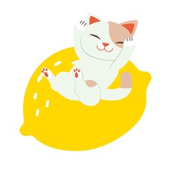 Wall Mural - The cat sitting on the big lemon and it look happy.the character cat garps the big yellow lemon on the white background.The cute cat and lemon in flat vector style.