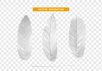Poster - Leaves from the tree. set of realistic simple petals and leaves. Vector illustration