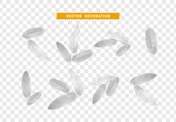 Poster - Leaves from the tree. set of realistic simple petals and leaves. Vector illustration