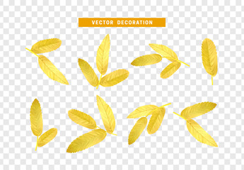 Poster - Leaves from the tree