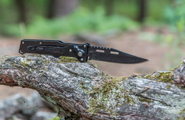 Wall Mural - Black Metal Switchblade on a Tree Branch in a Forest