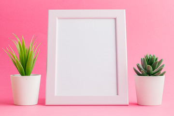 Sticker - Succulent plants on pastel pink background. Flat lay.