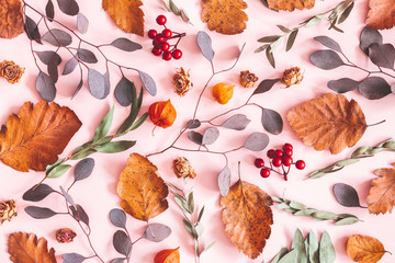 Wall Mural - Autumn composition. Pattern made of dried leaves, flowers on pink background. Autumn, fall concept. Flat lay, top view, copy space