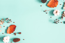 Autumn Composition. Dried Leaves, Cotton Flowers On Pastel Blue Background. Autumn, Fall, Winter Concept. Flat Lay, Top View, Copy Space