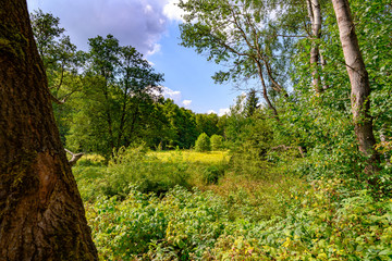 Wall Mural - romantische Berglandschaft in Sachsen, Voigtland