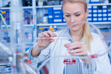 Sticker - Female laboratory assistant with chemical experiment in scientific laboratory. Female medical or scientific researcher using test tube on laboratory.