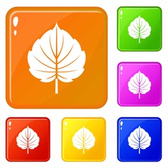 Wall Mural - Alder leaf icons set collection vector 6 color isolated on white background
