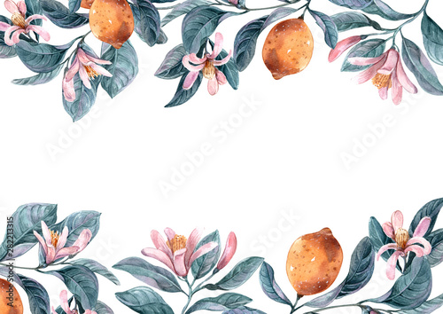 floral illustration, Leaf and buds. Botanic composition for wedding or greeti...