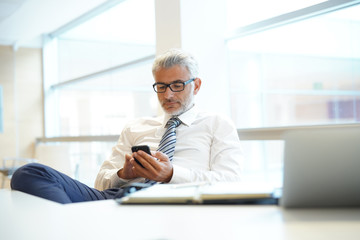 Wall Mural - Relaxed businessman in shirt and tie working on cellphone in office