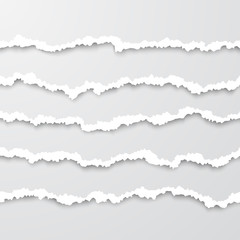 Poster - Set of horizontal seamless torn white paper wisps with soft shadow. Damaged cardboard borders. Vector illustration