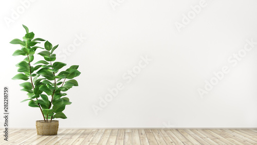 Fotomural Interior background with plant 3d render