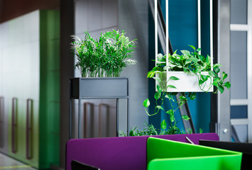 Aufkleber - Relaxation area in modern office interior with green plants