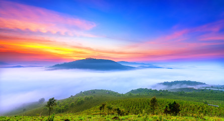  Dawn on the mountain plateau mist covered valley in Da Lat, Vietnam. All create wonderful views in the morning of the beautiful new day