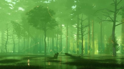 Wall Mural - mysterious forest swamp with magical firefly lights flying in the air at dark misty night. with no p