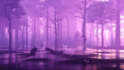 Wall Mural - supernatural fairy firefly lights soaring in the air in a swampy mystical forest at dark foggy night