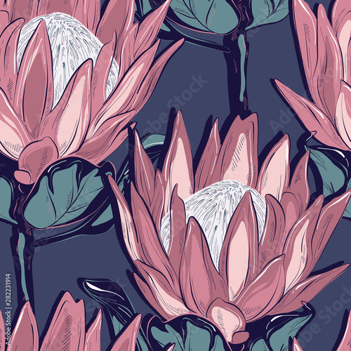 Dekoracja na wymiar  protea-wzor-bez-szwu-recznie-rysowane-szkic-kwiat-rysunek-botaniczny-tlo-lisci