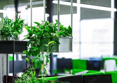 Empty interior of modern coworking office with green plants