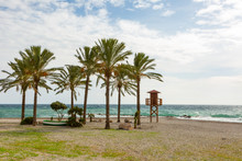 Empty Sandy Beach In Winter With Palm Tree And Life Guard Stand In Winter