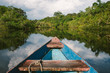 Canoeing through the flooded Amazon Jungle