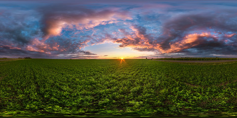 Wall Mural - full seamless spherical hdri panorama 360 degrees angle view among fields in summer evening sunset with awesome blue pink red clouds in equirectangular projection, ready for VR AR virtual reality