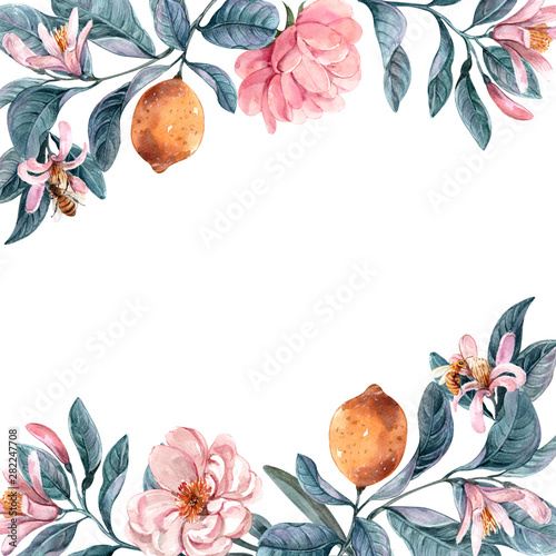 floral illustration, Leaf and buds. Botanic composition for design. branch of...