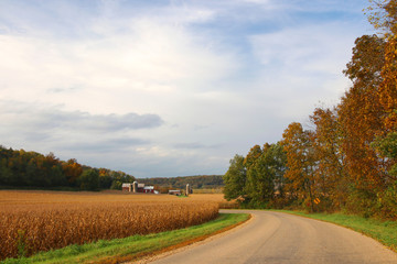 Wall Mural - wisconsin rural autumn nature background. scenic landscape with countryside road along ripe corn fie