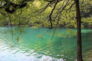 Wall Mural - Plitvice - Croatie