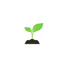 Young Sprout In Soil Colorful Vector Icon. Green Young Plant In Soil Simple Symbol.