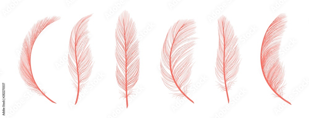 Trendy coral feathers. Vector pink fallen feathers isolated on white background. Exotic feather bird, soft and fluffy pink - obrazy, fototapety, plakaty 