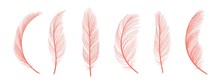 Trendy Coral Feathers. Vector Pink Fallen Feathers Isolated On White Background. Exotic Feather Bird, Soft And Fluffy Pink