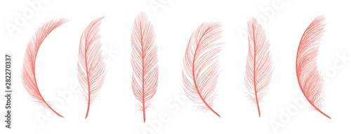 Trendy coral feathers Poster Mural XXL