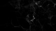 © Vadym - Abstract black digital background. Big data visualization. Science background. Big data complex with compounds. Lines plexus.