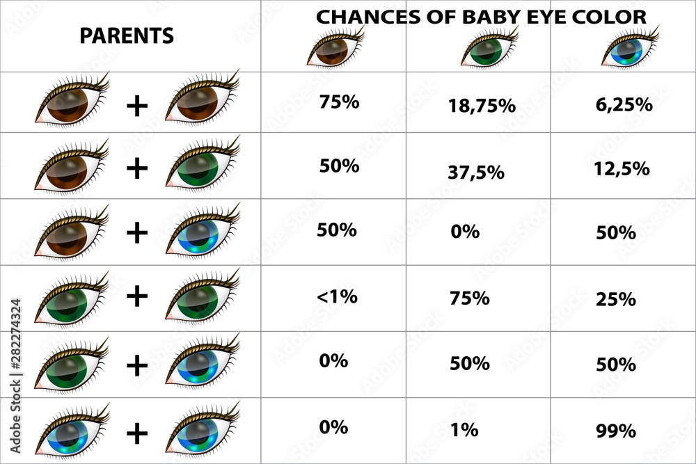 Eye genetics chart discount