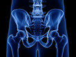 © Sebastian Kaulitzki - 3d rendered medically accurate illustration of the skeletal hip