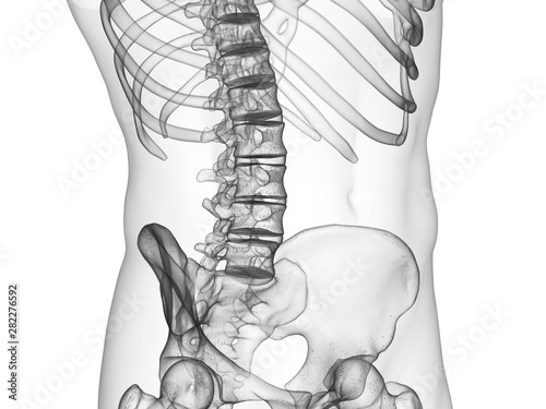 Cuadros en Lienzo 3d rendered medically accurate illustration of the lumbar spine