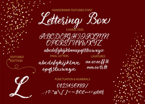 Script hand drawn vintage vector alphabet ABC font with letters, numbers, symbols. For calligraphy, lettering, hand made quotes.